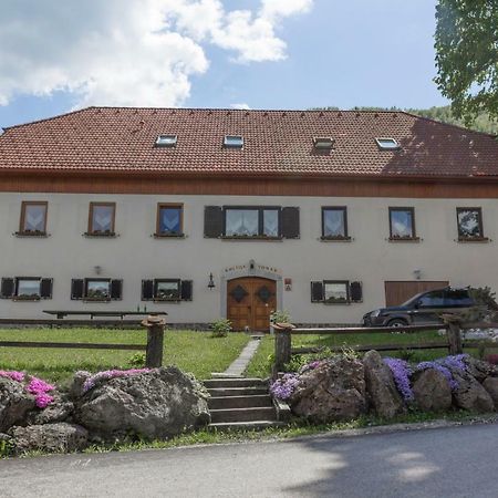 Vila Turisticna Kmetija Toman Gornji Grad Exteriér fotografie
