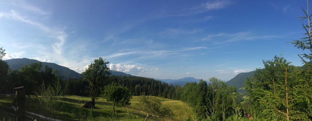 Vila Turisticna Kmetija Toman Gornji Grad Exteriér fotografie