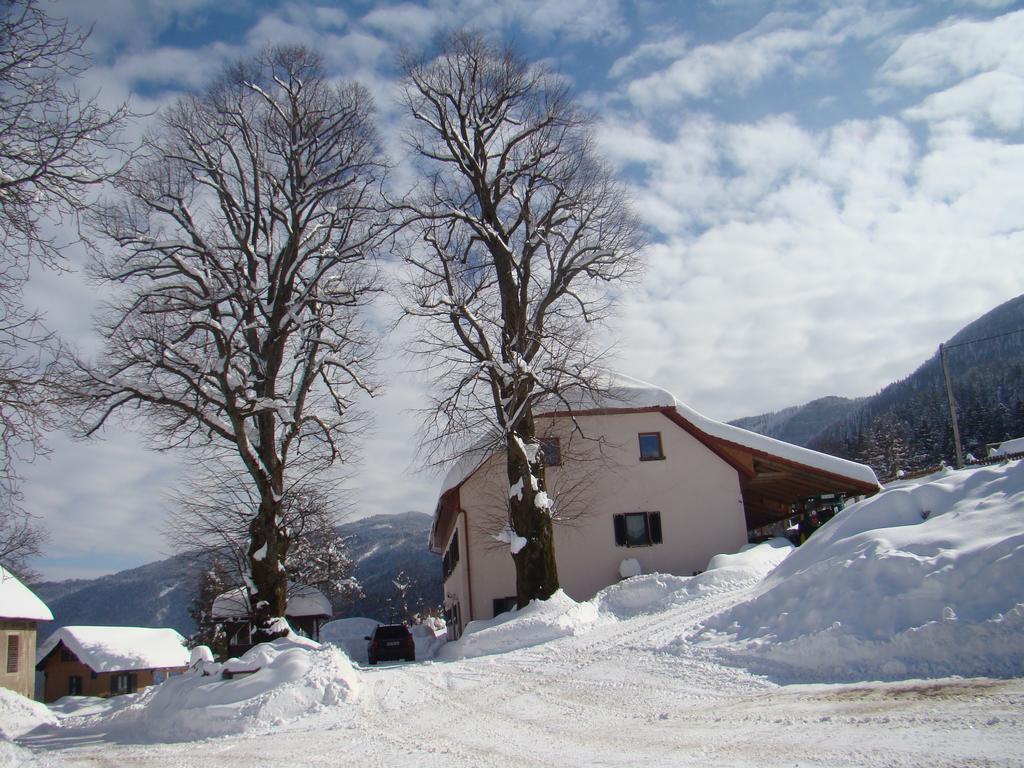 Vila Turisticna Kmetija Toman Gornji Grad Exteriér fotografie