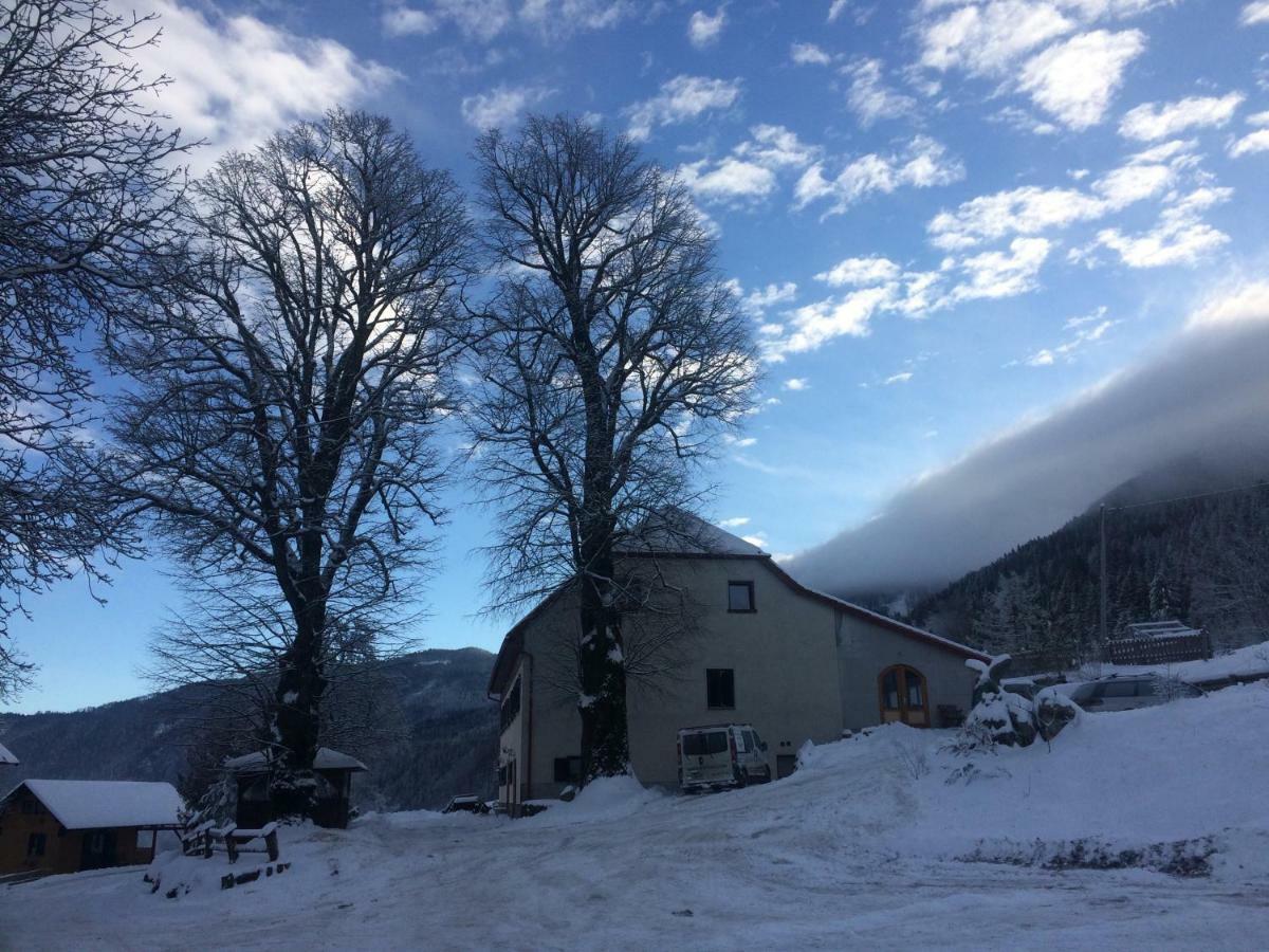 Vila Turisticna Kmetija Toman Gornji Grad Exteriér fotografie