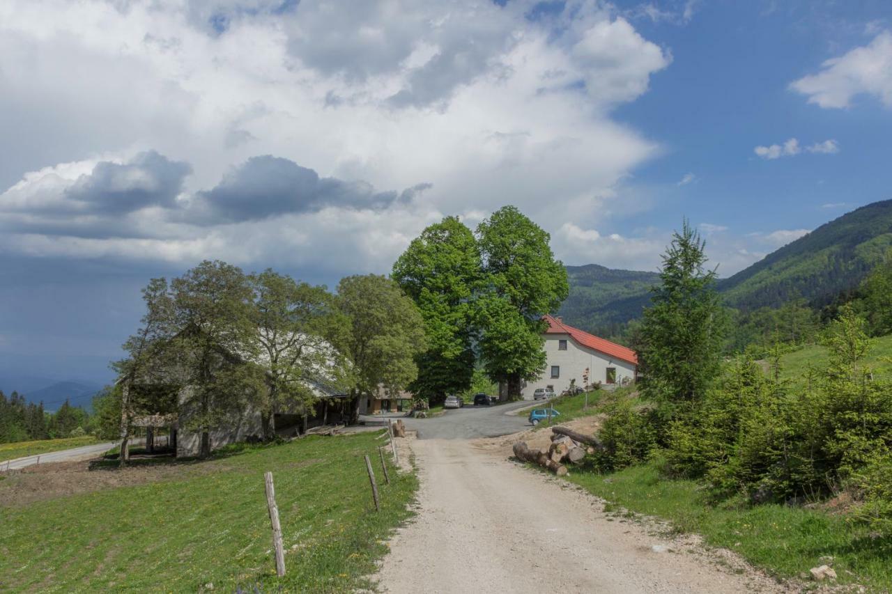 Vila Turisticna Kmetija Toman Gornji Grad Exteriér fotografie