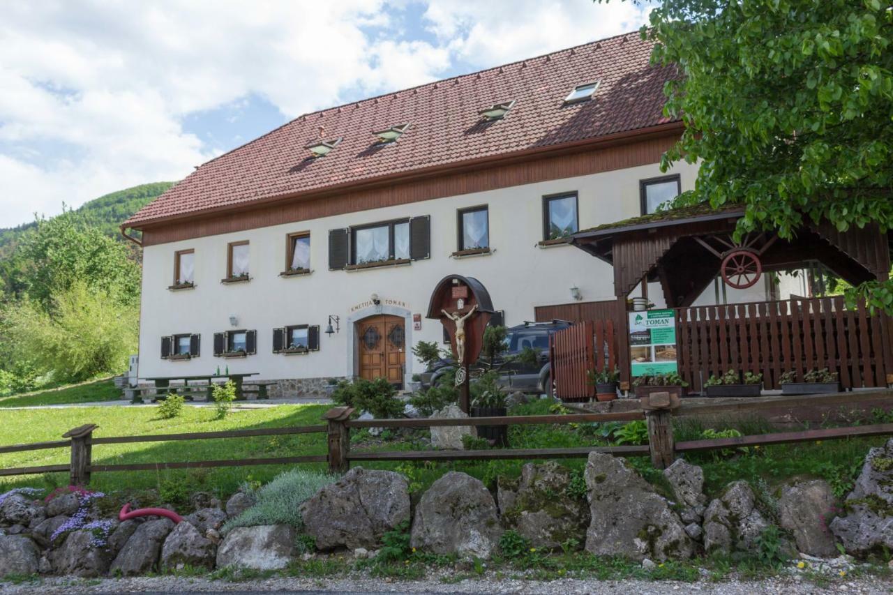 Vila Turisticna Kmetija Toman Gornji Grad Exteriér fotografie